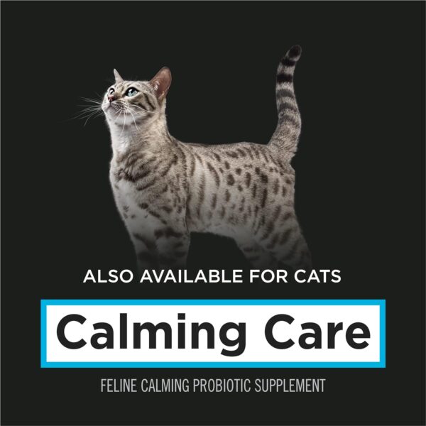 Purina Pro Plan Veterinary Supplements Calming Care - Calming Dog Supplements - 30 Ct. Box (Pack of 1) - Image 8