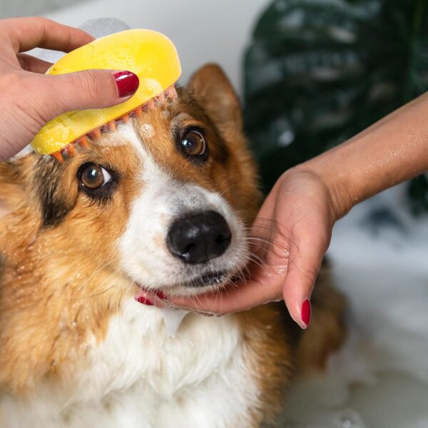 Cat Mist Brush, 3 in 1 Cat Comb for Massage, Self Cleaning Cat Brush with Water, Rechargeable Silicone Dog Steam Brush, Cat Bath Brush Eliminates Flying and Tangled Hair Cat Grooming Comb(Yellow) - Image 7