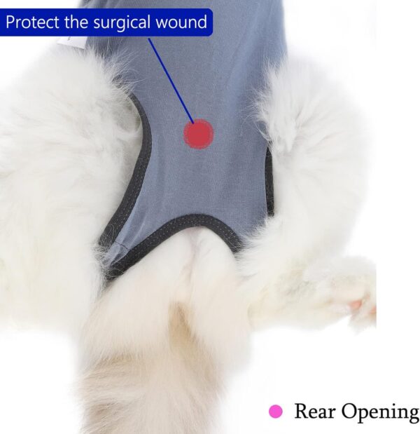 Cat Surgery Recovery Suit Cat Onesie for Cats After Surgery Spay Surgical Abdominal Wound Skin Diseases E-Collar Alternative Wear (Grey-Blue-M) - Image 4