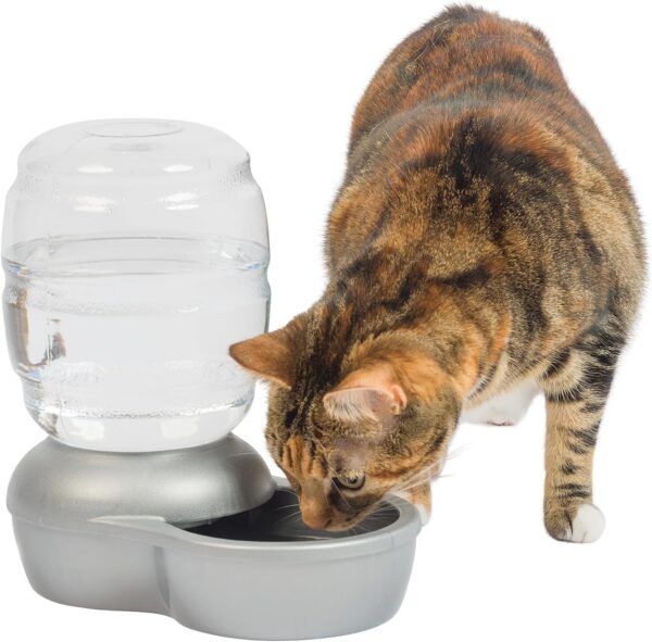 Petmate Replendish Automatic Gravity Waterer for Cats and Dogs, BPA-Free, No Batteries Required, Includes Charcoal Filter, 0.5 Gallon,Silver