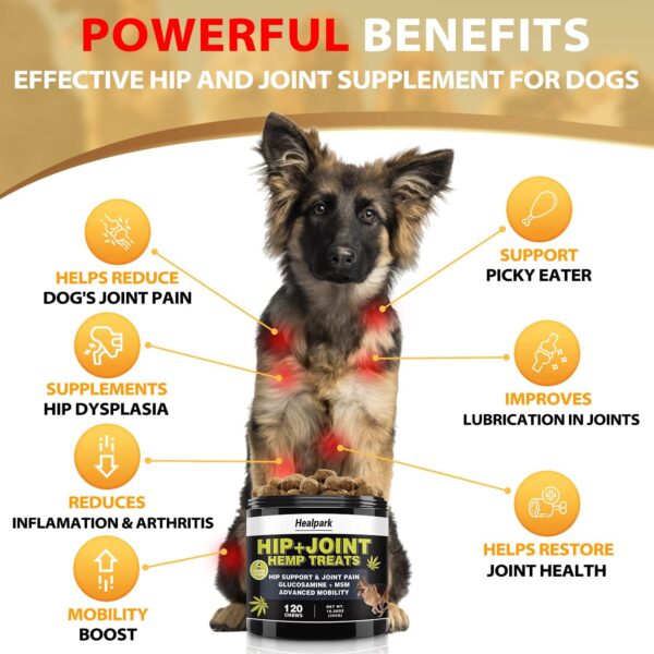 Hemp Hip and Joint Supplement for Dogs - Glucosamine for Dogs - Chondroitin, Hemp Oil, MSM & Turmeric - Support Joint Mobility, Joint Pain Relief, Hip Dysplasia, Arthritis Health Care - 120 Chews - Image 2