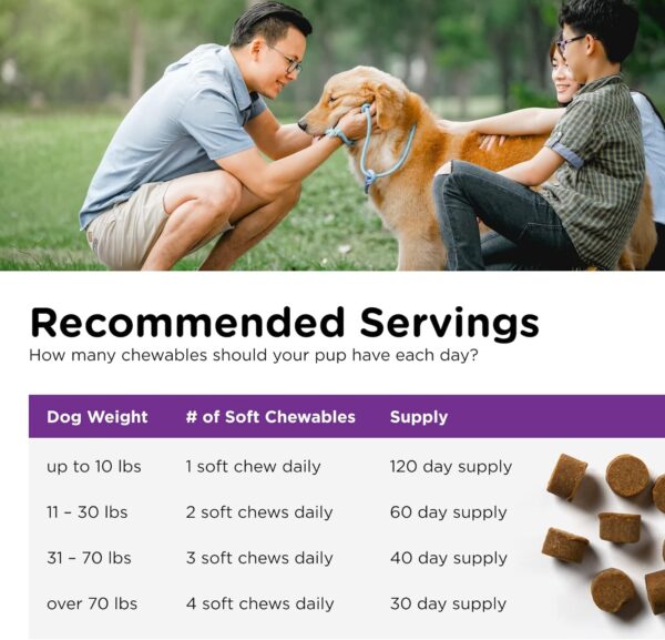 Nutri-Vet Pre and Probiotic Soft Chews for Dogs | Digestive Health Support | Tasty Alternative to Probiotic Powder | 120 Soft Chews - Image 7