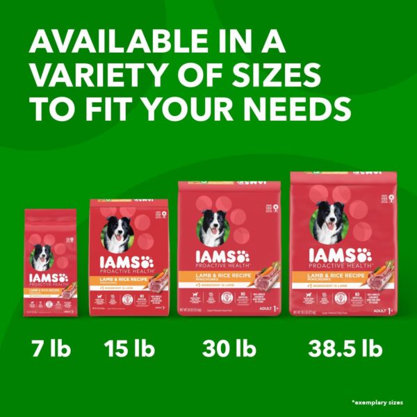 IAMS Minichunks Adult Dry Dog Food Lamb & Rice Recipe Dog Kibble, 30 lb. Bag - Image 14