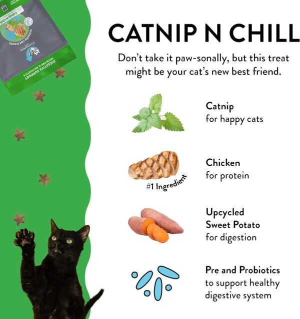 Shameless Pets Digestive Health Catnip Chicken Crunchy Cat Treats - Image 3