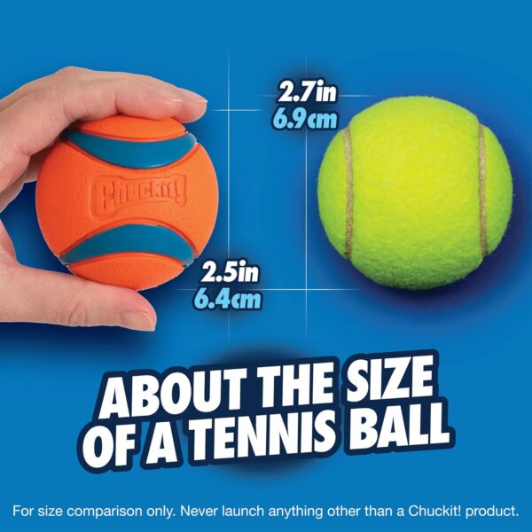 Chuckit! Ultra Ball Dog Toy, Medium (2.5 Inch Diameter) Pack of 2, for Breeds 20-60 lbs - Image 4