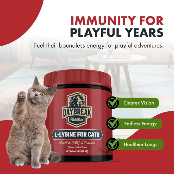 L-Lysine for Cats and Kittens - 900 mg L Lysine Powder for Cats for Immunity & Respiratory Support - Cat Supplement with L-Lysine, Prebiotics, Krill, & DMG for Immune System, Eye Health & Sneezing - Image 7