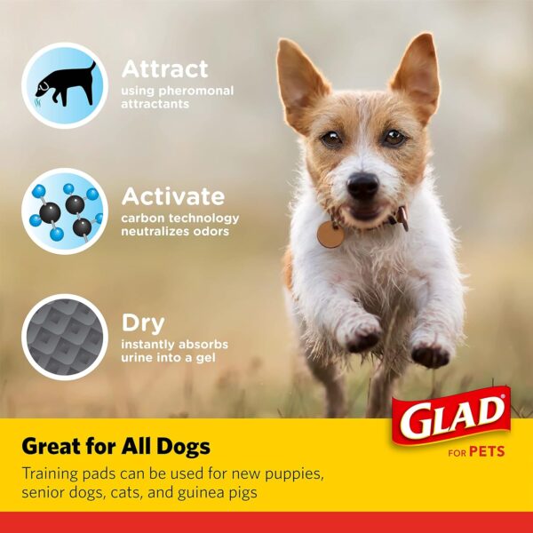 Glad for Pets Black Charcoal Training Pads for Dogs - Super Absorbent & Odor Neutralizing Dog Potty Pads, Leak-Resistant Puppy Pee Pads, Pheromone Attractant for Easy Training, 23" x 23" - 100 Count - Image 3