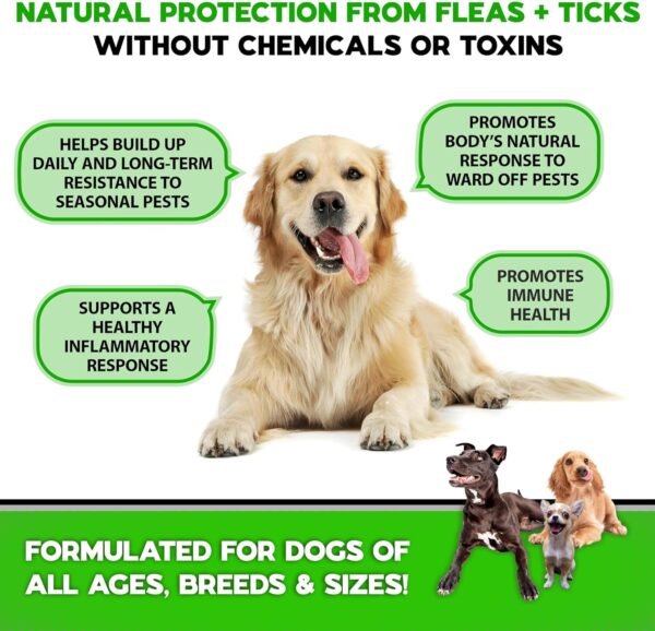 Flea and Tick Prevention for Dogs Chewables - Made in USA - Natural Flea and Tick Supplement for Chews - Oral Flea Pills - No Mess | No Collars - All Breeds and Ages - Tasty Soft Tablets - Image 2