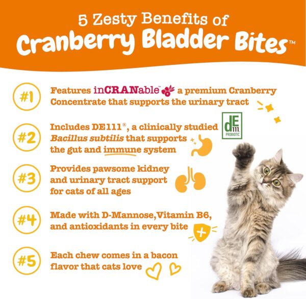 Zesty Paws Cranberry Bladder Bites for Cats - Kidney & Urinary Tract Health - Soft Chews with D-Mannose, Vitamin B6 & L-Arginine - Immune & Gut Support - Bacon - 60 Count - Image 2