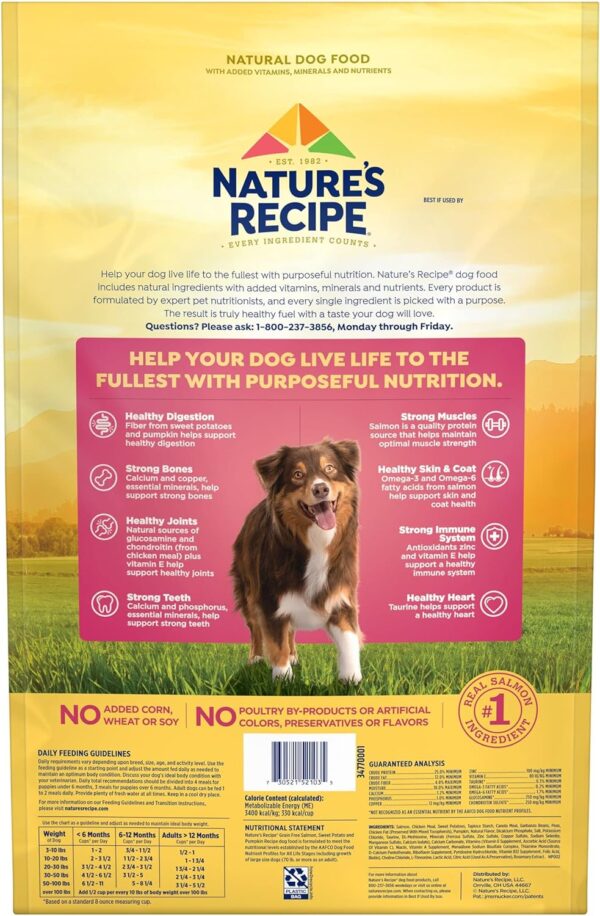 Nature’s Recipe Grain Free Salmon, Sweet Potato & Pumpkin Recipe Dry Dog Food, 12 lb. Bag - Image 4