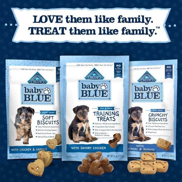 Blue Buffalo Baby BLUE Training Treats Natural Puppy Soft Dog Treats, Savory Chicken 4-oz Bag - Image 9