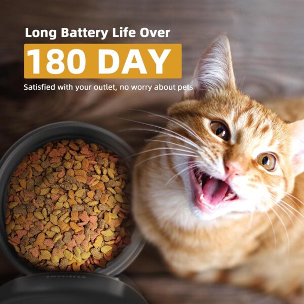 Automatic Cat Feeders - 2L/4L Cat Food Dispenser Easy to Use, Timed Automatic Pet Feeder with Over 180-day Battery Life, 1-6 Meals Dry Food Programmable Portion Control Also for Dogs - Image 2