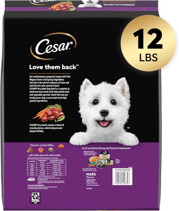 CESAR Small Breed Adult Dry Dog Food Filet Mignon Flavor with Spring Vegetables Garnish Dog Kibble, 12 lb. Bag - Image 2