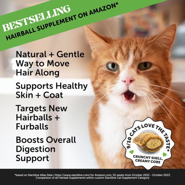 Pet Honesty Cat Hairball Support Chews, Hairball Remedy Cat Treats, Cat Furball Treatment, Supports Skin & Coat, Digestion, Cat Vitamins & Supplements & Hairball Medicine, Chicken (30-Day Supply) - Image 2