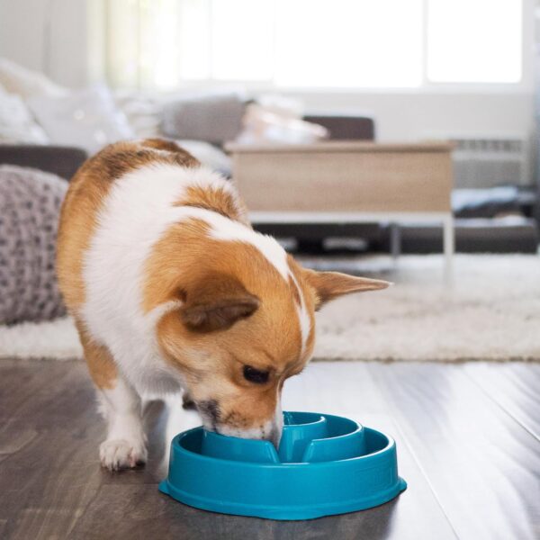 Outward Hound Fun Feeder Slo Bowl, Slow Feeder Dog Bowl, Medium/Mini, Turquoise - Image 6