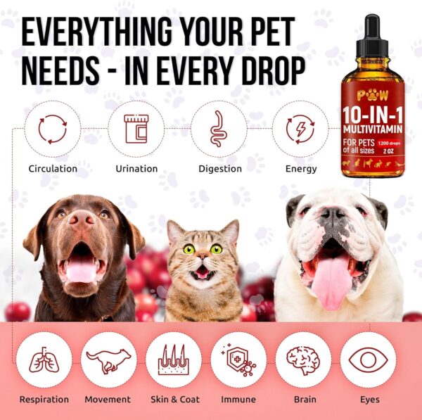 Cat and Dog Vitamins and Supplements | Dog Vitamin | Vitamins for Cats | Multivitamin for Dogs | Cat Supplements & Vitamins | Vitamins for Dogs | Natural Cat Vitamins | 2 oz - Image 2