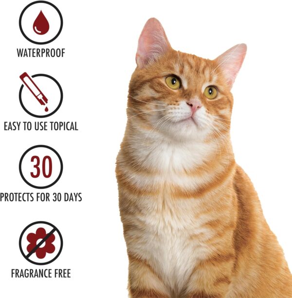 Plus Flea Prevention For Cats, Cat and Kitten Treatment & Control, Small and Large, Fast Acting Waterproof Topical Drops, 4 Month Supply - Image 5