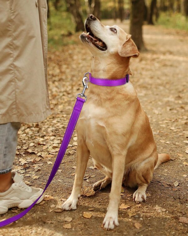 TagME Reflective Nylon Dog Collars, Adjustable Classic Dog Collar with Quick Release Buckle for Small Dogs, Purple, 5/8" Width - Image 7