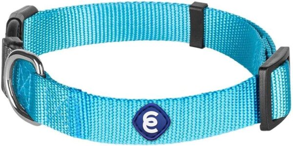 Blueberry Pet Essentials Matching Medium Dog Collar | Adjustable Classic Solid Color Nylon Dog Collars for Medium Dogs | Turquoise Dog Collar for Medium Dogs