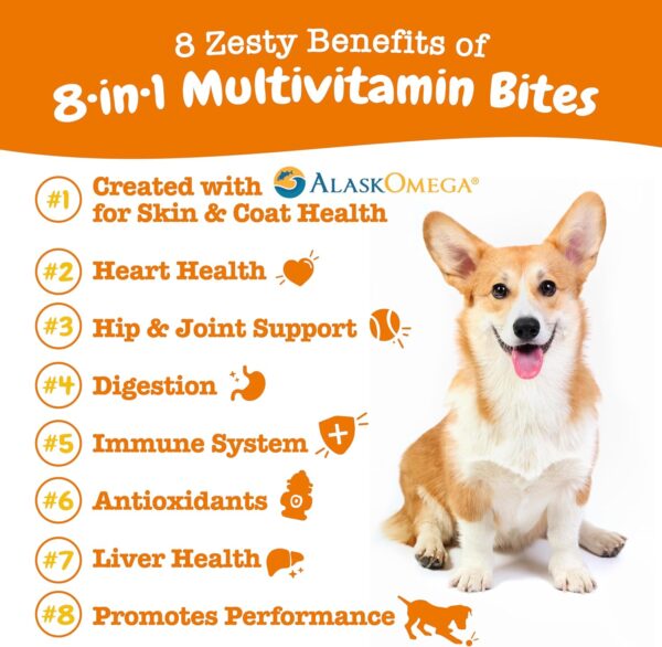 Zesty Paws Multivitamin Treats for Dogs - Glucosamine Chondroitin for Joint Support + Digestive Enzymes & Probiotics - Grain Free Dog Vitamin for Skin & Coat + Immune Health - Chicken Flavor - 90ct - Image 2