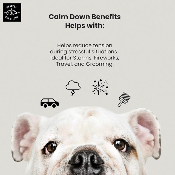 Calming Chews for Dogs - Dog Calming Treats for Anxiety & Stress Relief with Melatonin and Ginger - Aid with Storms, Grooming, Fireworks, Separation, Travel, Motion Sickness, & Sleep - 120 Chews - Image 3