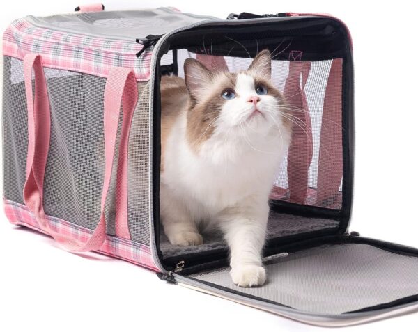 EXPAWLORER Cat Carrier Large, Soft-Sided Pet Carrier for Cat,Top Load Cat Travel Carriers for Medium Cats Under 25, Airline Approved Pet Bag Carriers Fit 2 Kitties Small Dogs