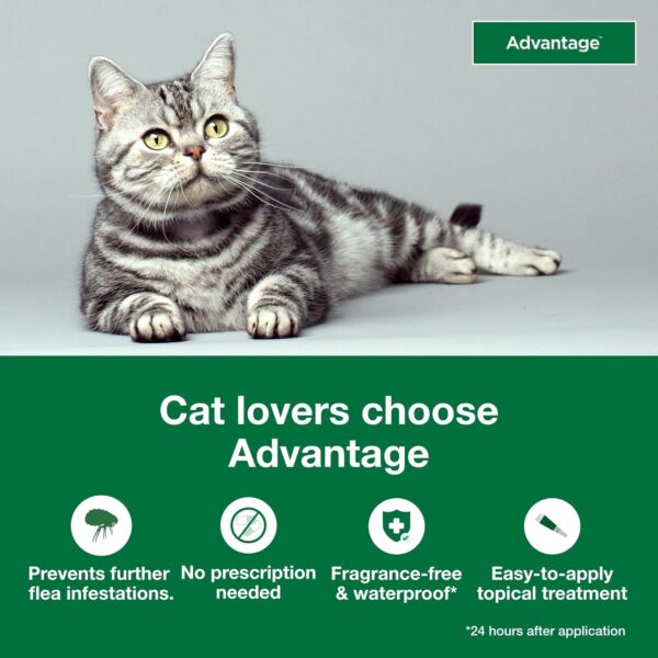 Advantage Topical Cat Flea Treatment and Prevention for Small Cats 2-9 lbs. | 2 Month Supply - Image 4