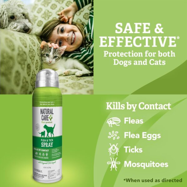 Flea and Tick Spray for Dogs and Cats - Flea & Tick Treatment for Dogs and Cats - Flea & Tick Killer with Certified Natural Oils - 14 Ounces - Image 4