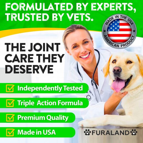 Hemp Hip and Joint Supplement for Dogs - Glucosamine for Dogs - 170 Dog Joint Pain Relief Treats - Chondroitin, Hemp Oil, MSM - Mobility & Flexibility Support - Advanced Joint Health - Made in USA - Image 6