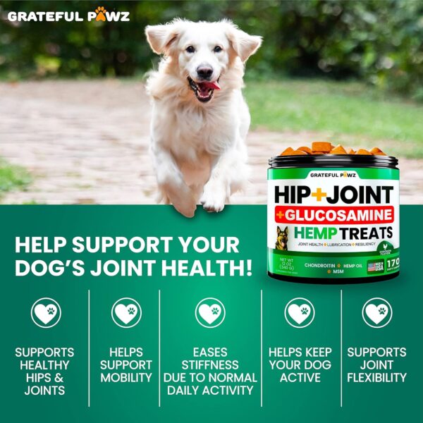 Hemp Hip and Joint Supplement for Dogs - Glucosamine for Dogs - 170 Dog Joint Pain Relief Treats - Chondroitin, MSM, Hemp Oil - Advanced Dog Joint Supplement Health - Mobility Support Chews - Image 5