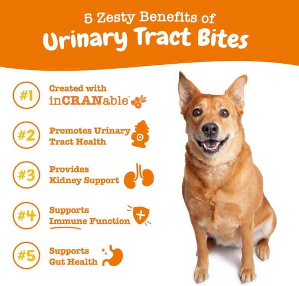 Zesty Paws Cranberry Bladder Bites for Dogs - Kidney & Urinary Tract Health - Soft Chews with D-Mannose, Vitamin B6 & L-Arginine - Immune & Gut Support - Chicken - 90 Count - Image 2