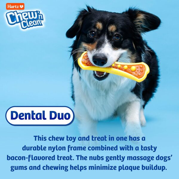 HARTZ Chew 'n Clean Dental Duo Bacon Flavored Dog Chew Toy - 1 Count(Pack of 1),Medium - Image 5