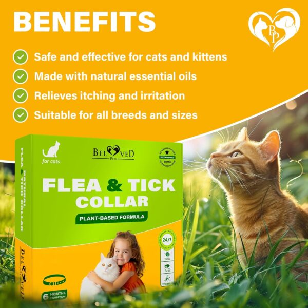 Natural Flea & Tick Collar for Cats - 12 Months Control of Best Prevention & Safe Treatment - Anti Fleas and Ticks Essential Oil Repellent (1 Pack) - Image 4