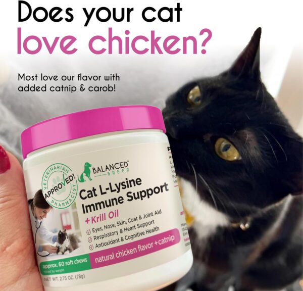 Balanced Breed L-Lysine Cats Immune Support Soft Chews Made in USA Non-GMO Vet-Pharmacist Approved Omega 3 Krill Oil Cat Vitamins Indoor Cats Supplements Cat Asthma Relief Cats Lysine Allergy Relief - Image 6