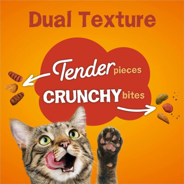 Purina Friskies Dry Cat Food, Tender & Crunchy Combo - 16 lb. Bag - Image 3