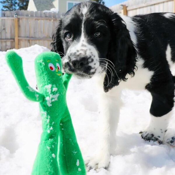 Multipet Gumby Plush Filled Dog Toy, Green, 9 inch (Pack of 1) - Image 5