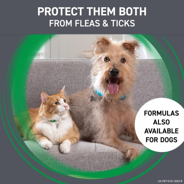 FRONTLINE Plus Flea and Tick Treatment for Cats Over 1.5 lbs., 3 Treatments - Image 7