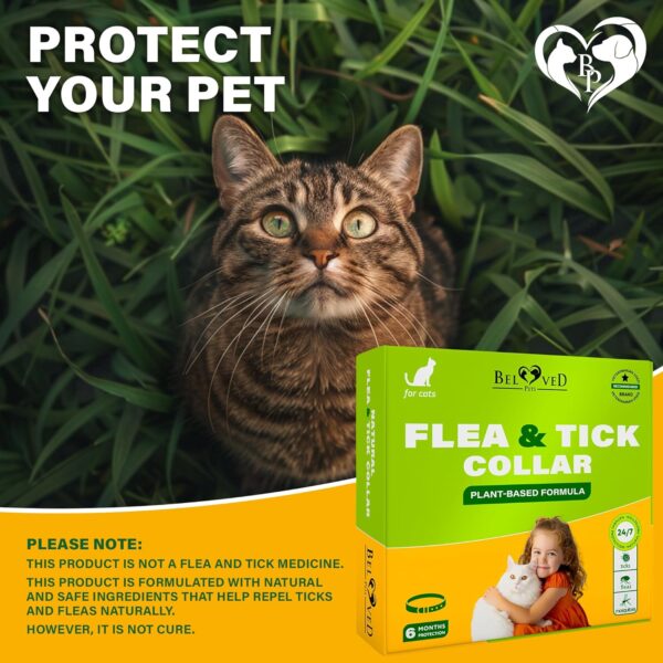 Natural Flea & Tick Collar for Cats - 12 Months Control of Best Prevention & Safe Treatment - Anti Fleas and Ticks Essential Oil Repellent (1 Pack) - Image 8