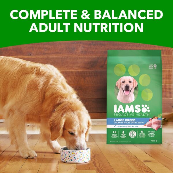 IAMS Proactive Health Large Breed Adult Dry Dog Food with Real Chicken, 30 lb. Bag - Image 11