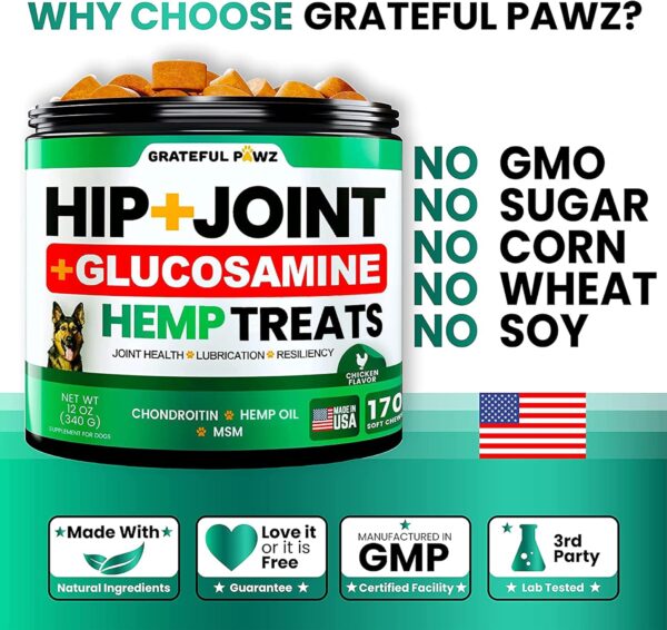 Hemp Hip and Joint Supplement for Dogs - Glucosamine for Dogs - 170 Dog Joint Pain Relief Treats - Chondroitin, MSM, Hemp Oil - Advanced Dog Joint Supplement Health - Mobility Support Chews - Image 4