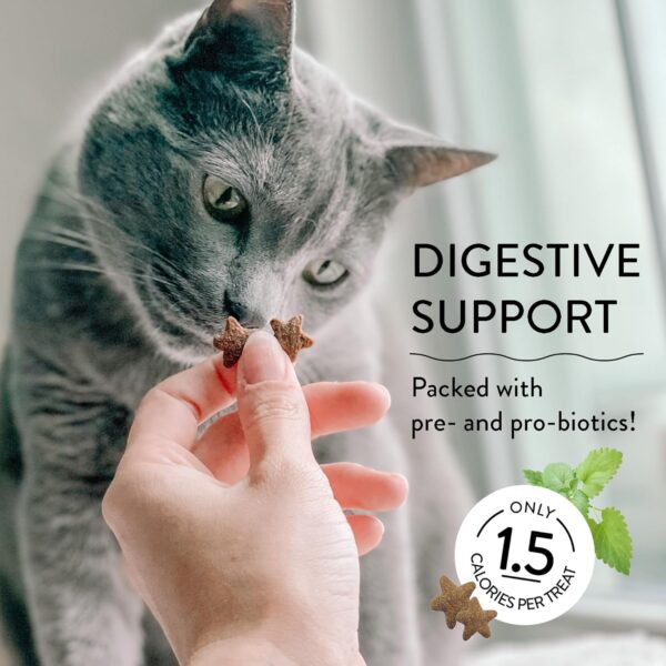 Shameless Pets Digestive Health Catnip Chicken Crunchy Cat Treats - Image 4