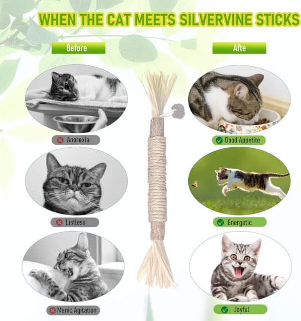 BAWAN Catnip Toys‖ Silvervine for Cats: Cute Cat & Kitten Toys for Indoor Cats Interactive‖ Cat & Kitten Teething Chew Toys for Aggressive Chewers‖ Silvervine Sticks Cat Dental Toy (3PCS) - Image 5