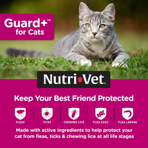 Nutri-Vet Guard+ for Cats - Flea & Tick Prevention for Cats 1.5 lbs and Up - Waterproof - 30 Days of Protection - 3 Month Supply - Image 3