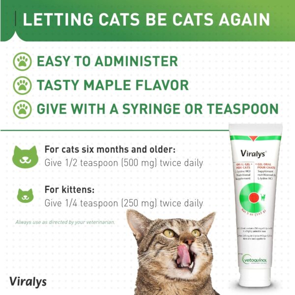 Vetoquinol Viralys Gel L-Lysine Supplement for Cats, 5oz - Cats & Kittens of All Ages - Immune Health - Sneezing, Runny Nose, Squinting, Watery Eyes - Palatable Maple Flavor Lysine Gel - Image 4