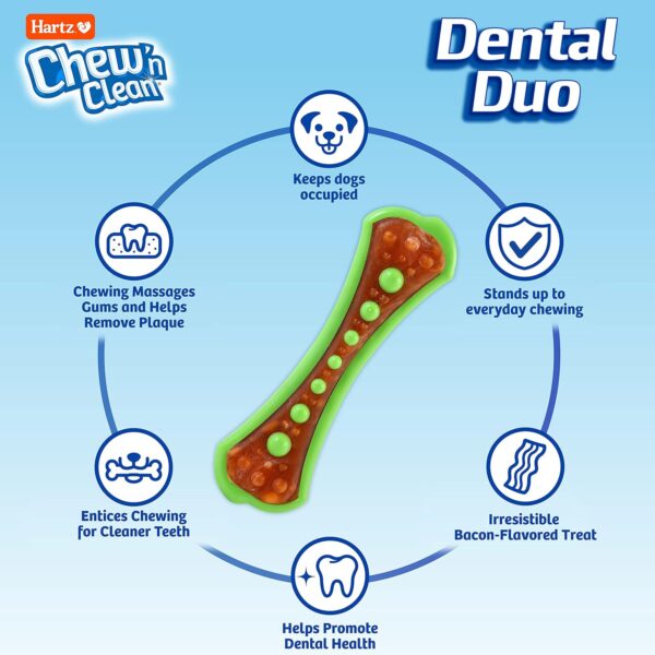 HARTZ Chew 'n Clean Dental Duo Bacon Flavored Dog Chew Toy - 1 Count(Pack of 1),Medium - Image 2