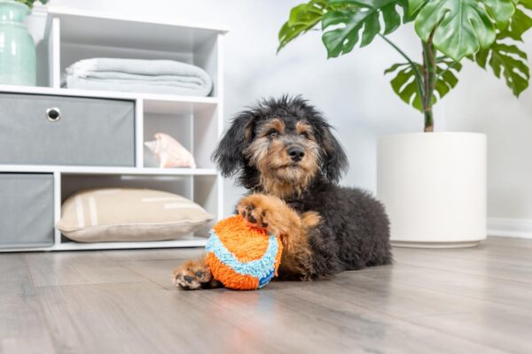 Chuckit Indoor Fetch Ball Dog Toy (4.75 Inch), Orange and Blue - Image 4