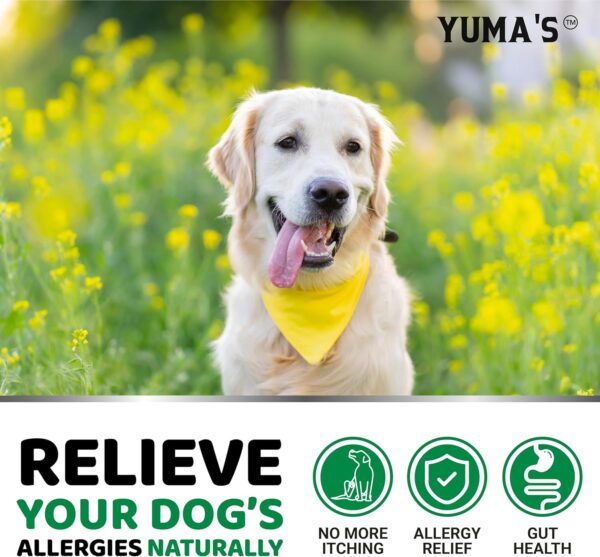 YUMA'S Dog Allergy Relief Chews - Dog Itching Skin Relief Treatment Pills - 170 Treats - Anti-Itch for Dogs - Itchy and Paw Licking - Dry Skin & Hot Spots - Omega 3 Fish Oil - Skin & Coat Supplement - Image 4