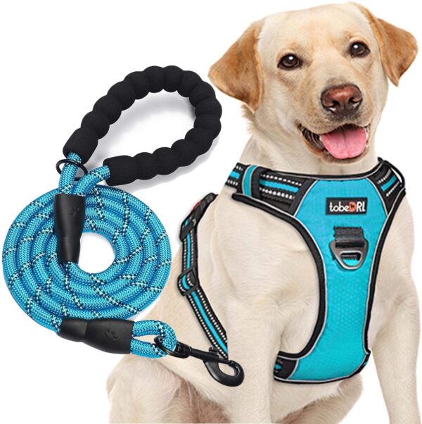 tobeDRI No Pull Dog Harness Adjustable Reflective Oxford Easy Control Medium Large Dog Harness with A Free Heavy Duty 5ft Dog Leash (L (Neck: 18"-25.5", Chest: 24.5"-33"), Blue Harness+Leash)