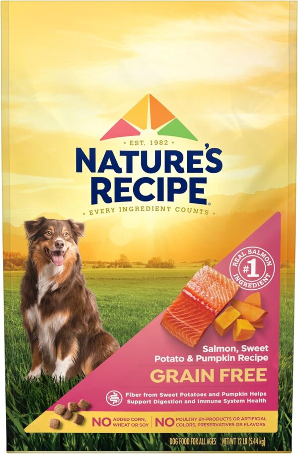 Nature’s Recipe Grain Free Salmon, Sweet Potato & Pumpkin Recipe Dry Dog Food, 12 lb. Bag