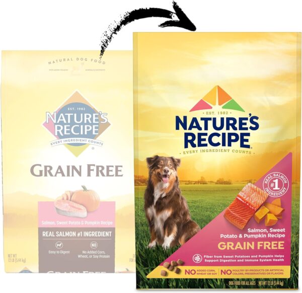 Nature’s Recipe Grain Free Salmon, Sweet Potato & Pumpkin Recipe Dry Dog Food, 12 lb. Bag - Image 2